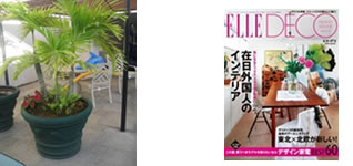 ELLE DECO 2008/08