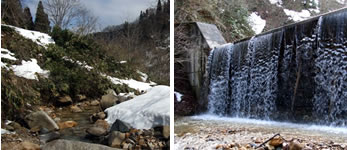 Scenery of Spring in Toyama