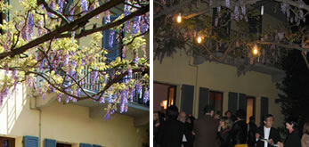 Party in courtyard with wistaria trellis
